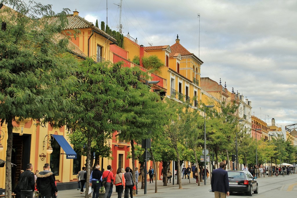 Foto: Calle San Fernando - Sevilla (Andalucía), España