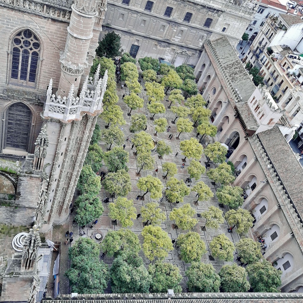 Foto: Vistas desde la Giralda - Sevilla (Andalucía), España
