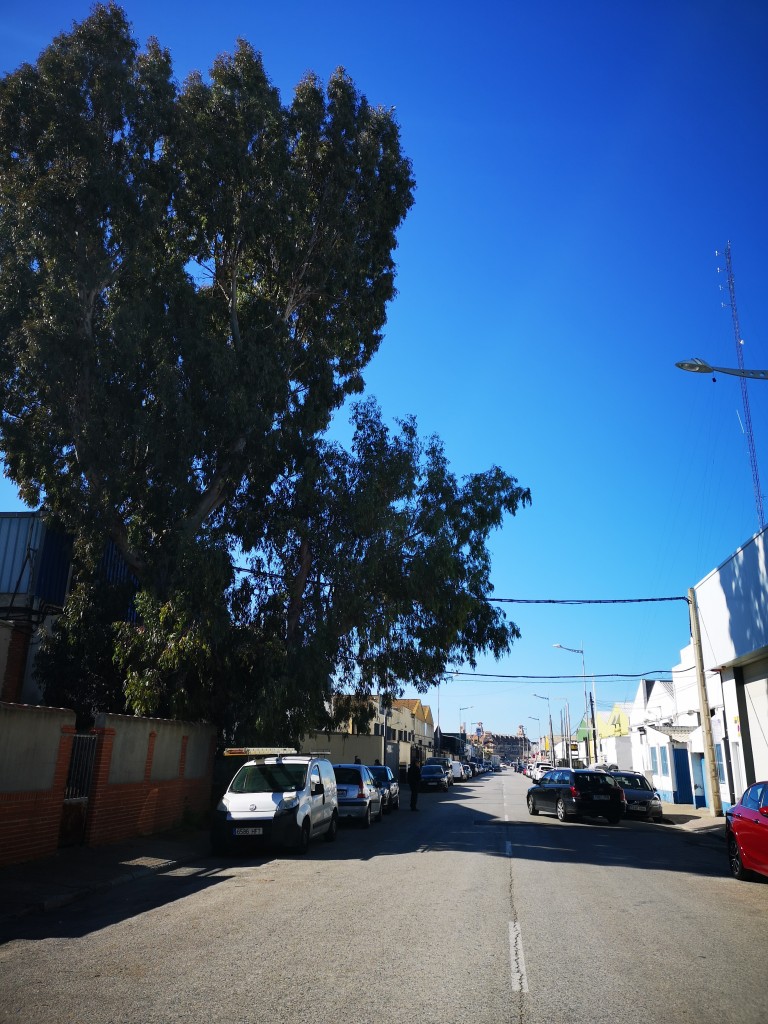 Foto de San Fernando (Cádiz), España
