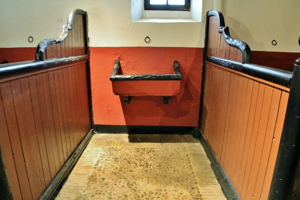 Foto: Palacio de las Dueñas - Sevilla (Andalucía), España