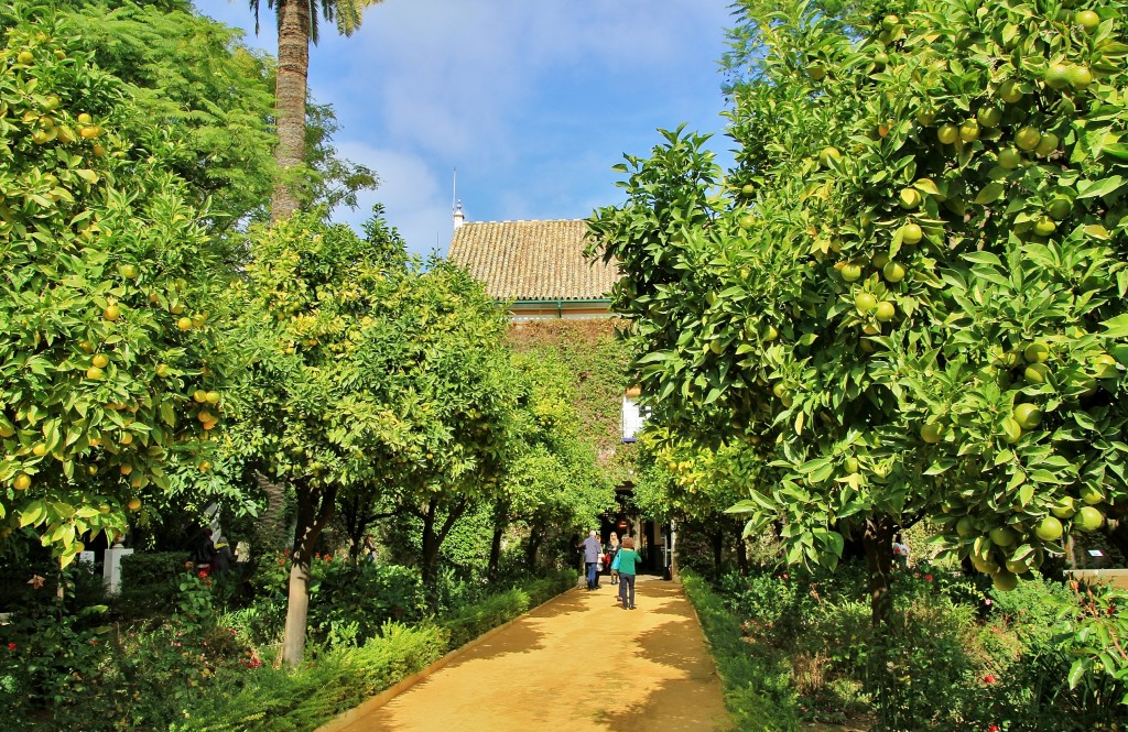 Foto: Palacio de las Dueñas - Sevilla (Andalucía), España