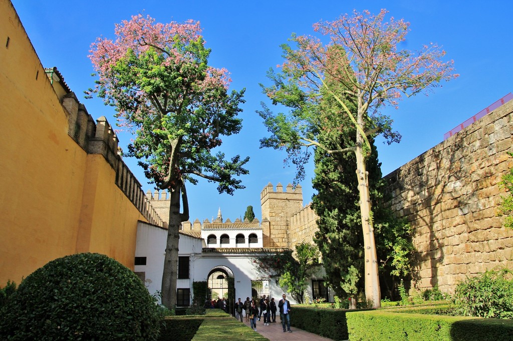 Foto: Real Alcazar de Sevilla - Sevilla (Andalucía), España