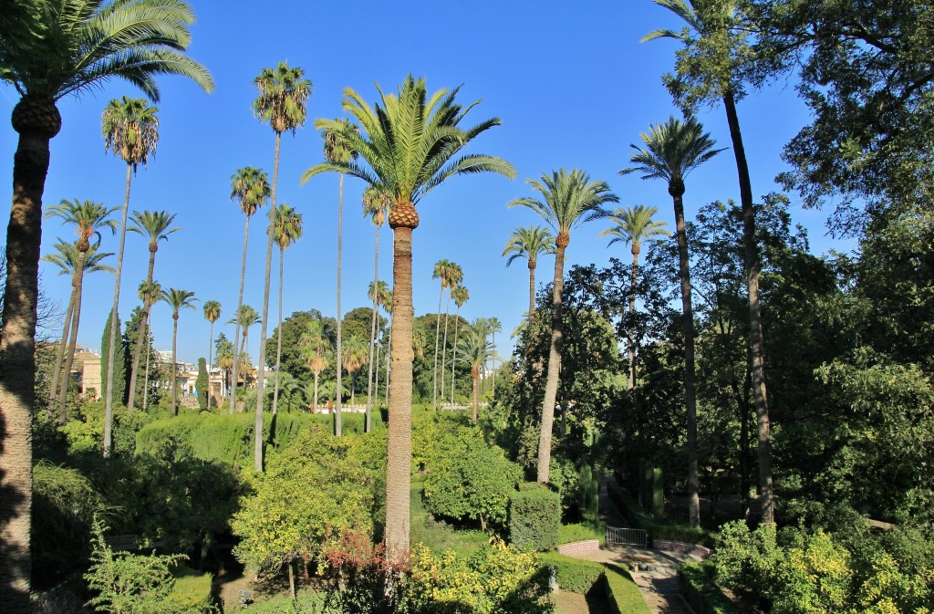 Foto: Real Alcazar de Sevilla - Sevilla (Andalucía), España