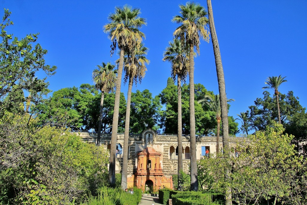 Foto: Real Alcazar de Sevilla - Sevilla (Andalucía), España
