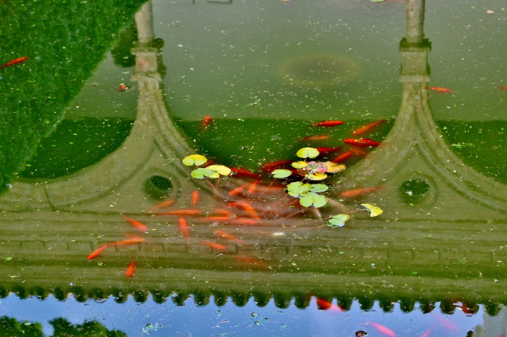 Foto: Real Alcazar de Sevilla - Sevilla (Andalucía), España