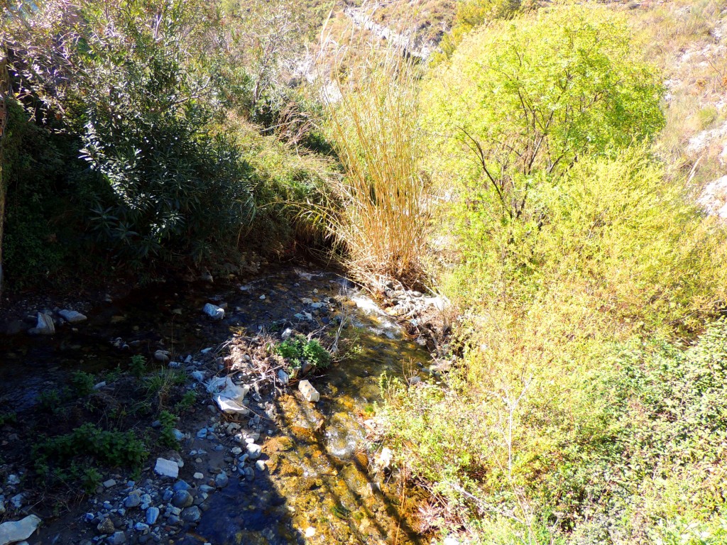 Foto de Canilla de Albaida (Málaga), España