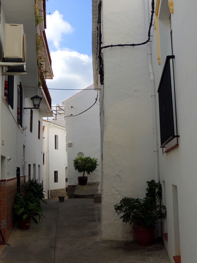 Foto de Canilla de Albaida (Málaga), España