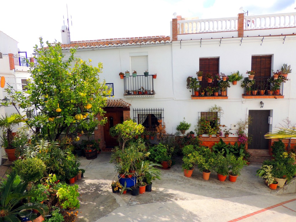 Foto de Canilla de Albaida (Málaga), España