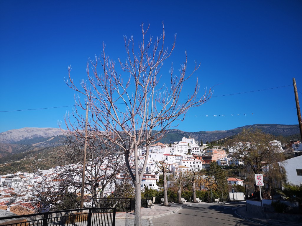 Foto de Canilla de Albaida (Málaga), España