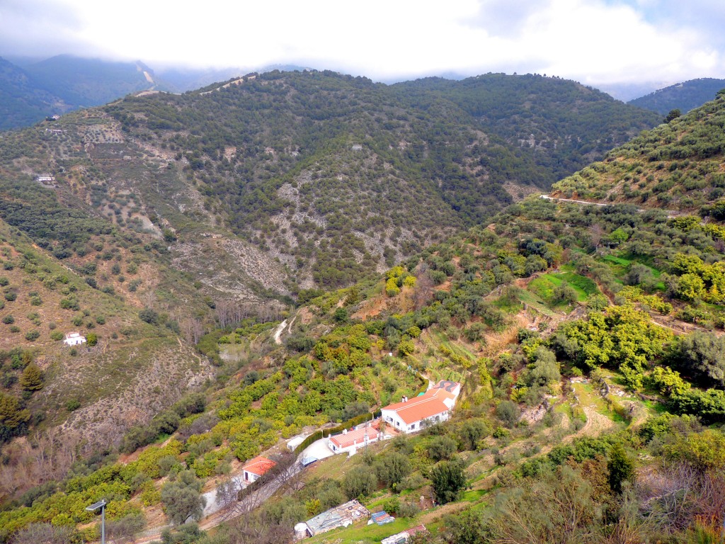 Foto de Canilla de Albaida (Málaga), España