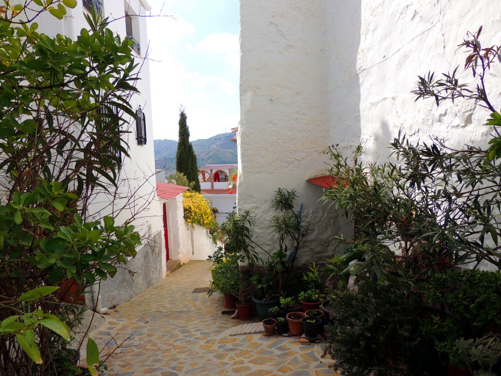 Foto de Canilla de Albaida (Málaga), España