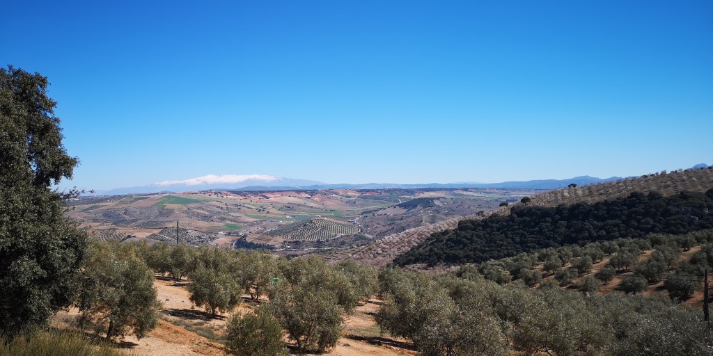Foto de Alhama de Granada (Granada), España