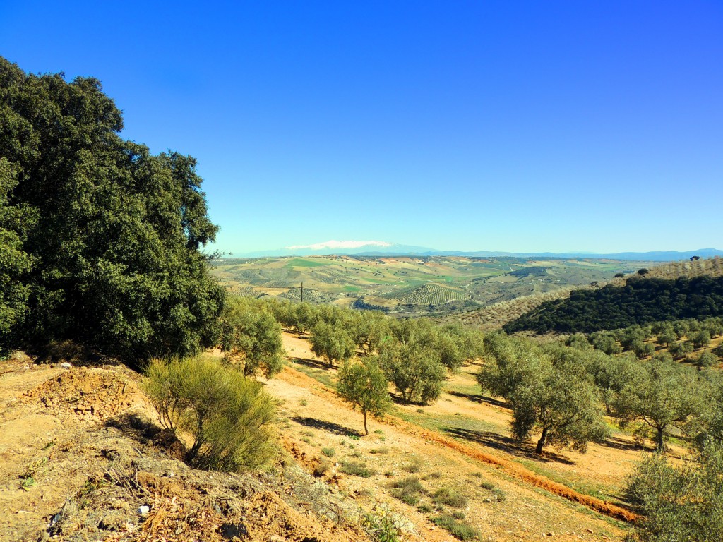 Foto de Alhama de Granada (Granada), España