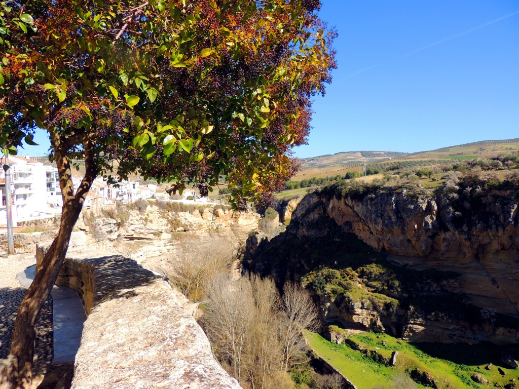 Foto de Alhama de Granada (Granada), España
