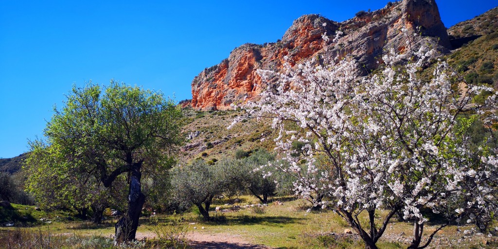 Foto de Alhama de Granada (Granada), España
