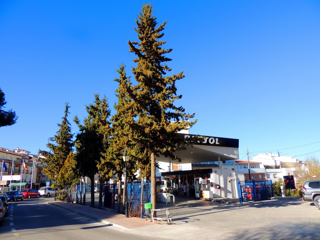 Foto de Alhama de Granada (Granada), España