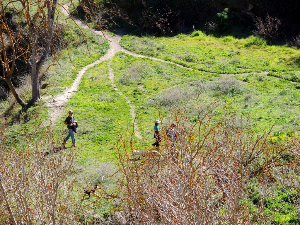 Foto de Alhama de Granada (Granada), España
