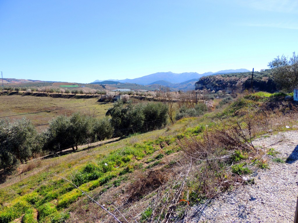 Foto de Alhama de Granada (Granada), España