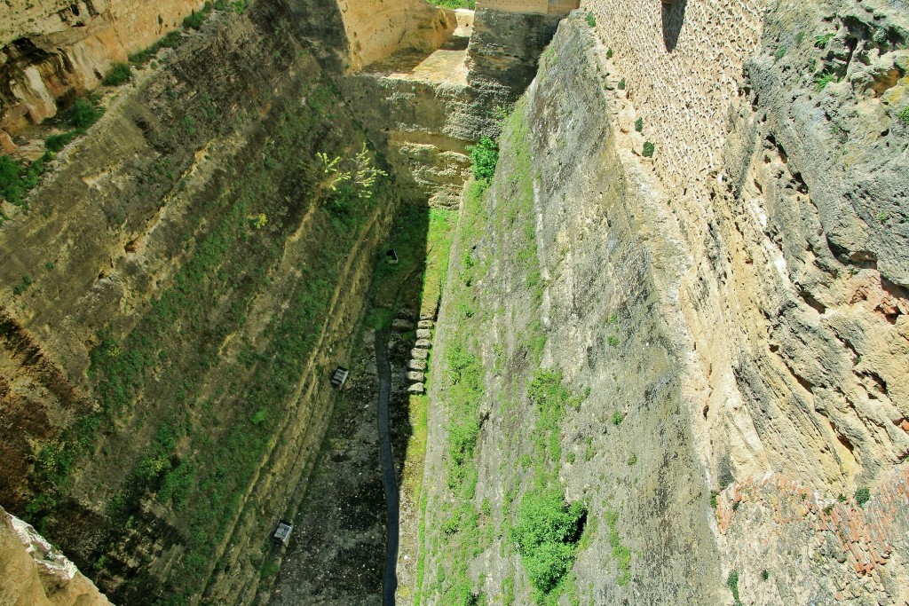 Foto: Alcázar - Segovia (Castilla y León), España