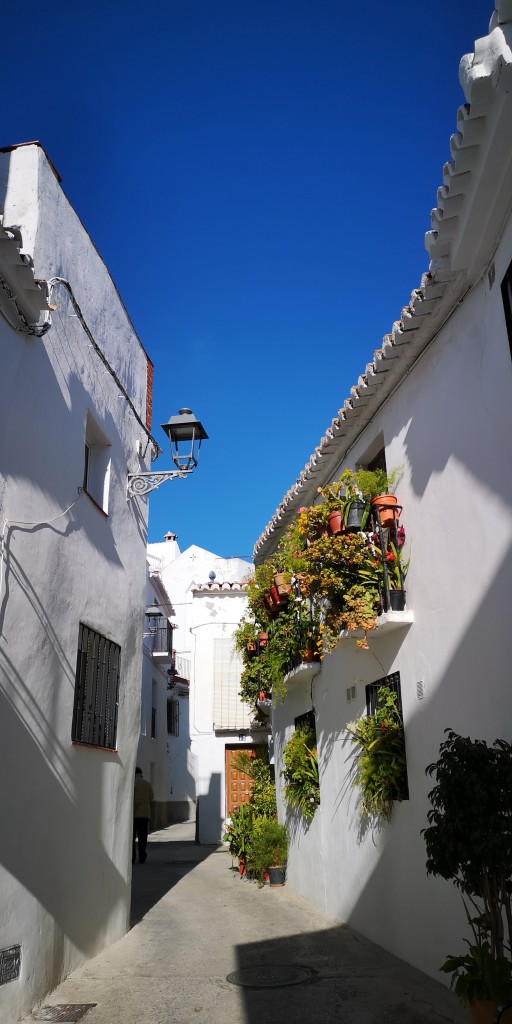 Foto de Salares (Málaga), España