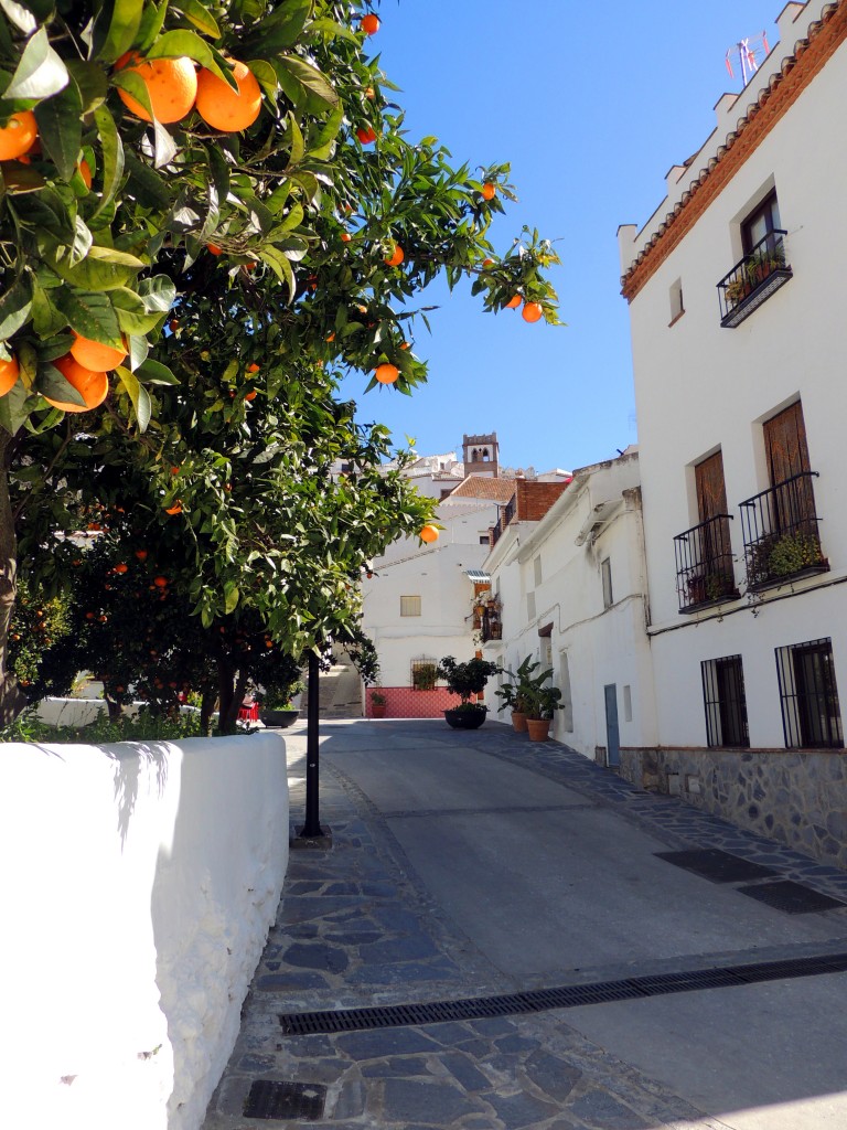 Foto de Salares (Málaga), España