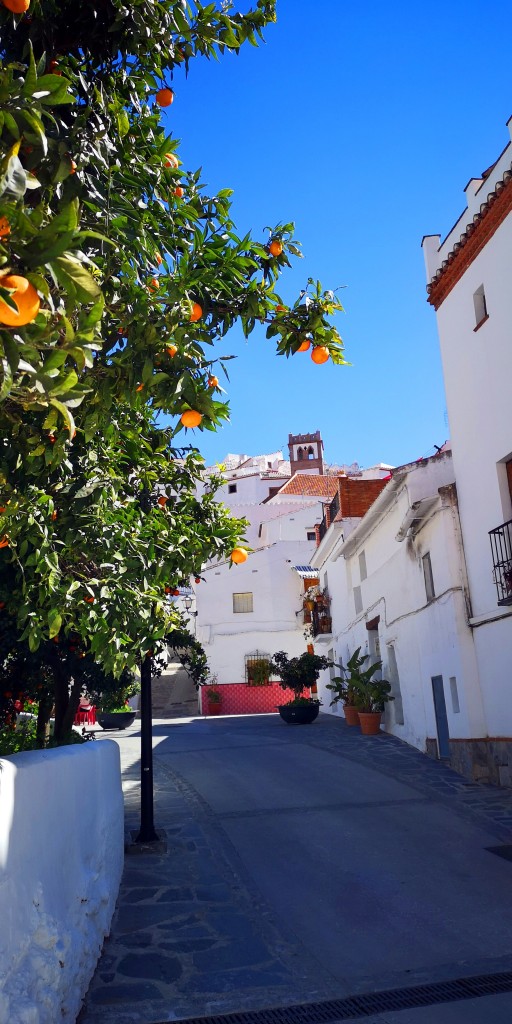 Foto de Salares (Málaga), España