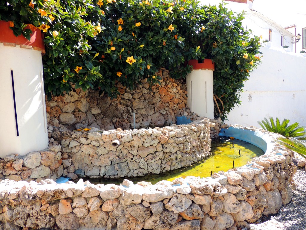 Foto de Salares (Málaga), España