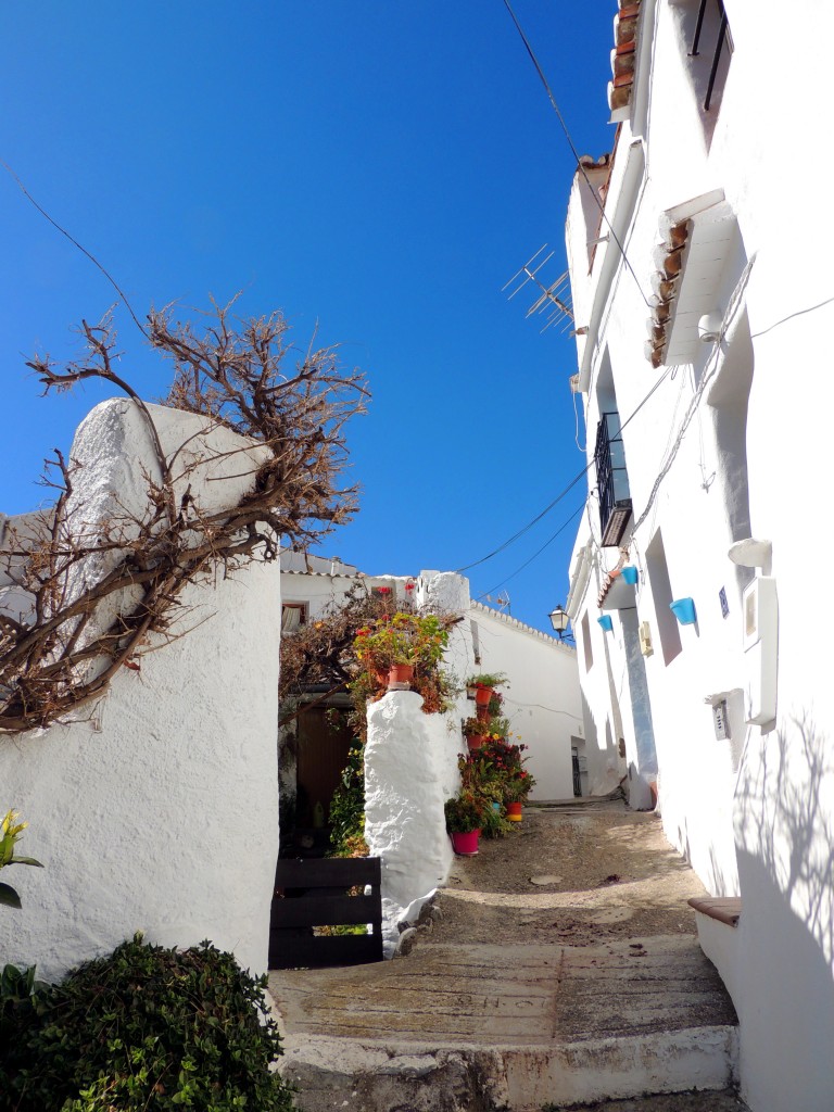 Foto de Salares (Málaga), España
