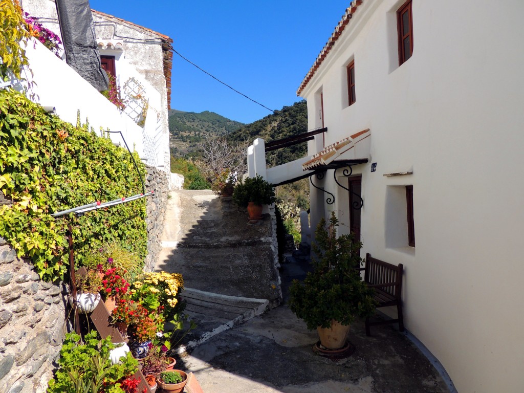 Foto de Salares (Málaga), España