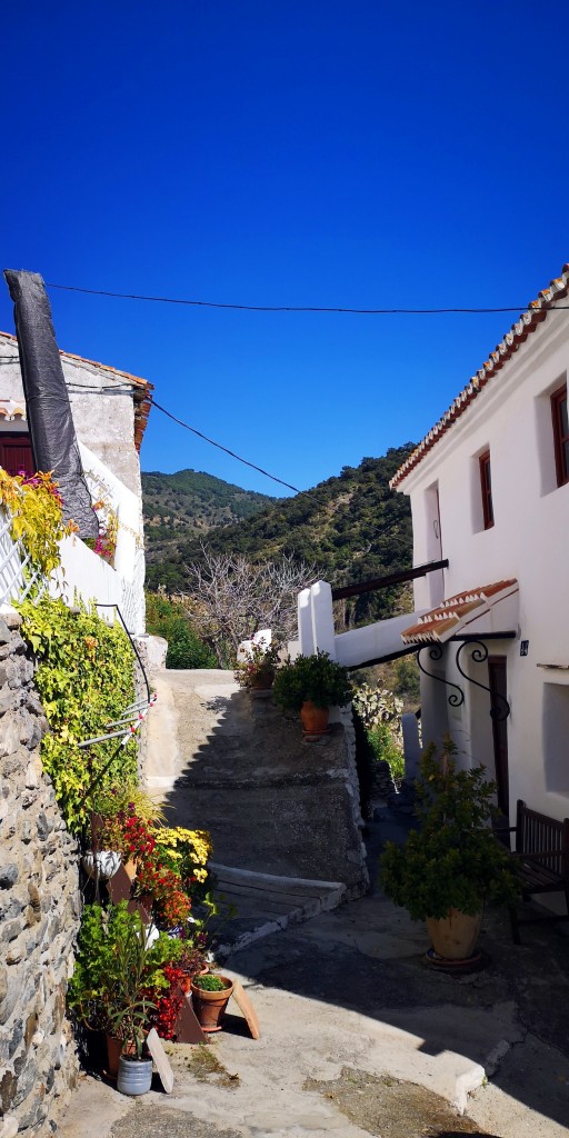 Foto de Salares (Málaga), España