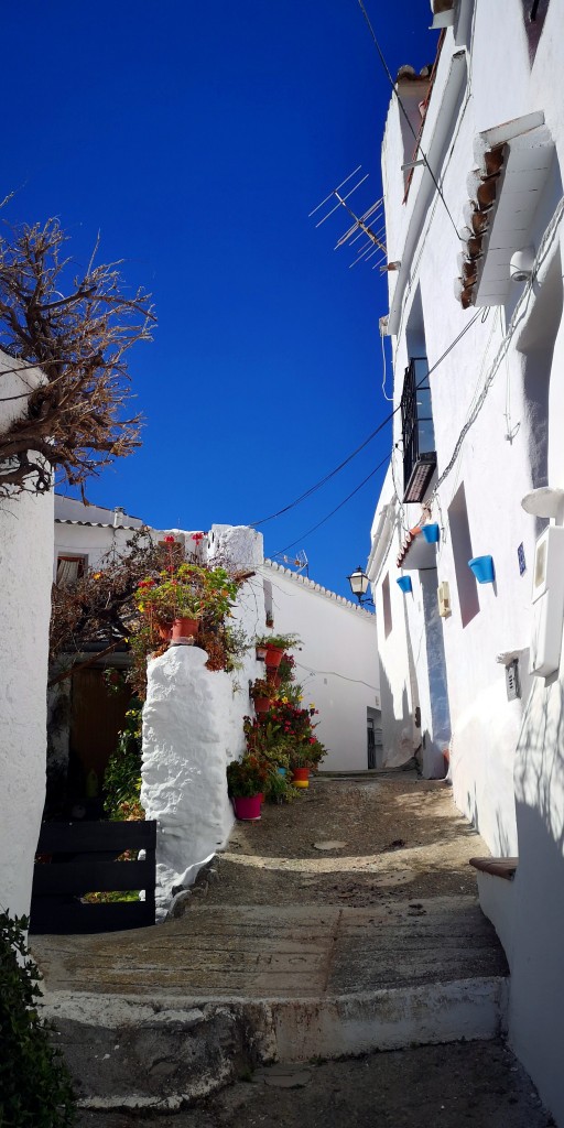 Foto de Salares (Málaga), España