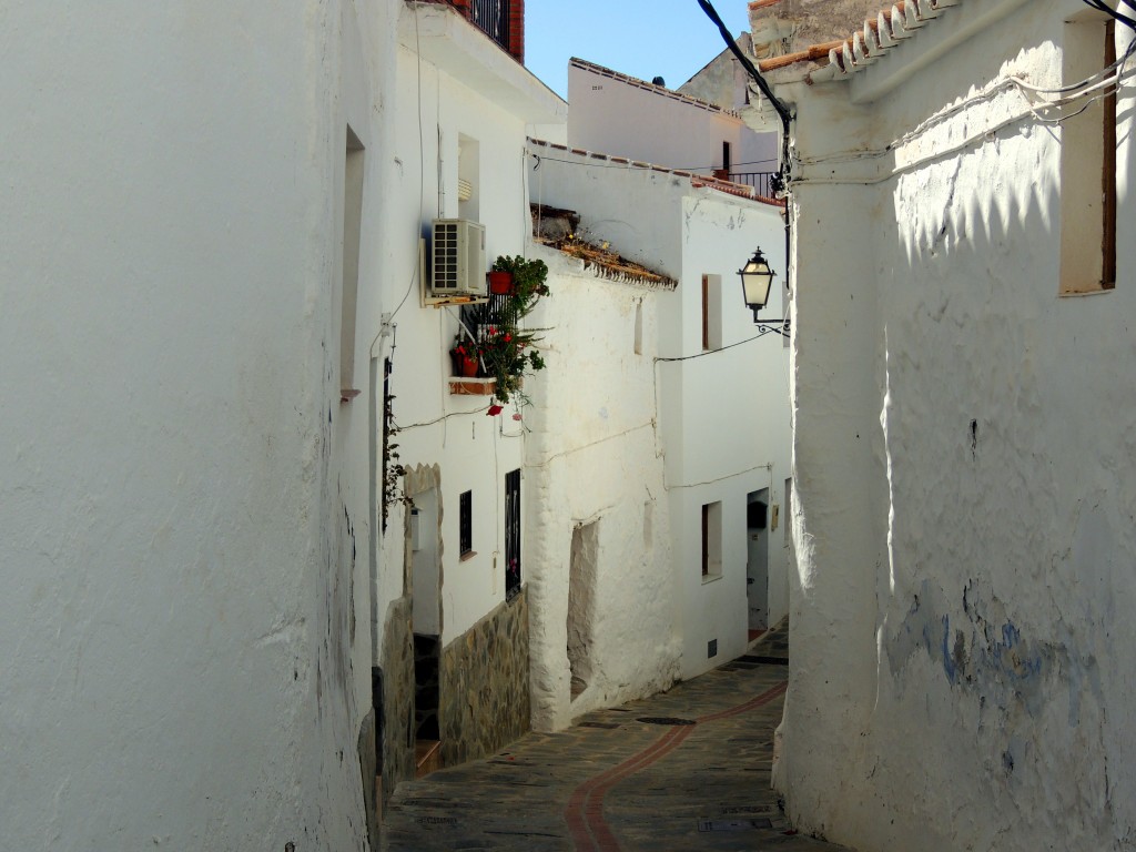 Foto de Salares (Málaga), España