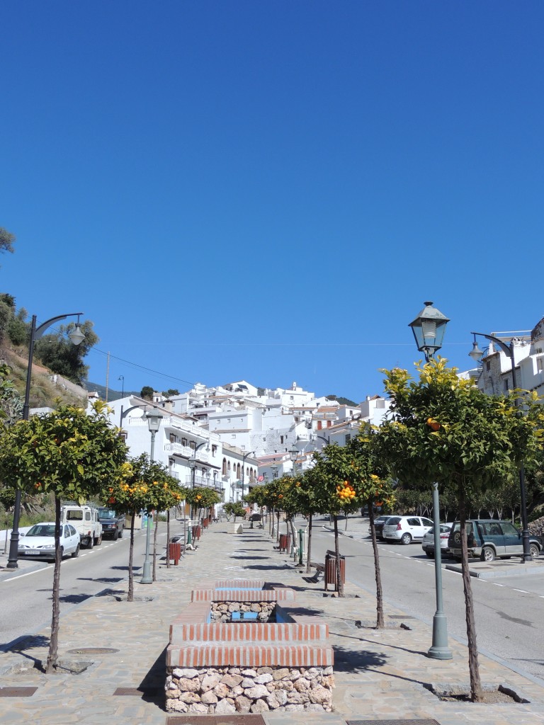 Foto de Salares (Málaga), España