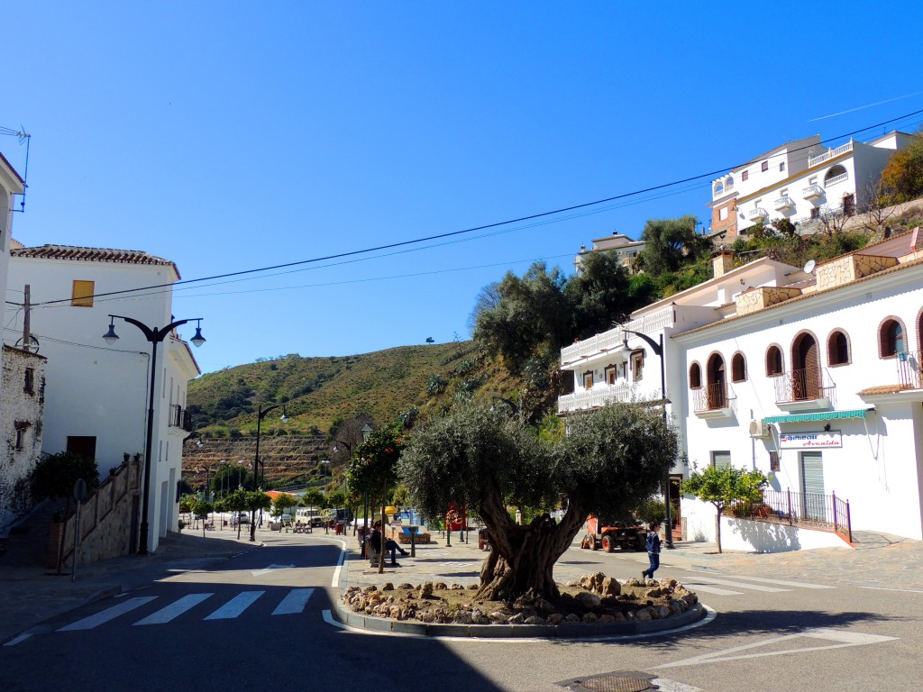 Foto de Salares (Málaga), España