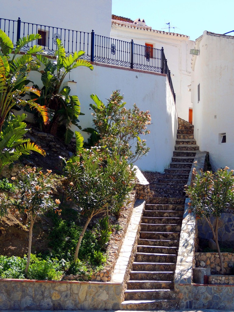 Foto de Salares (Málaga), España