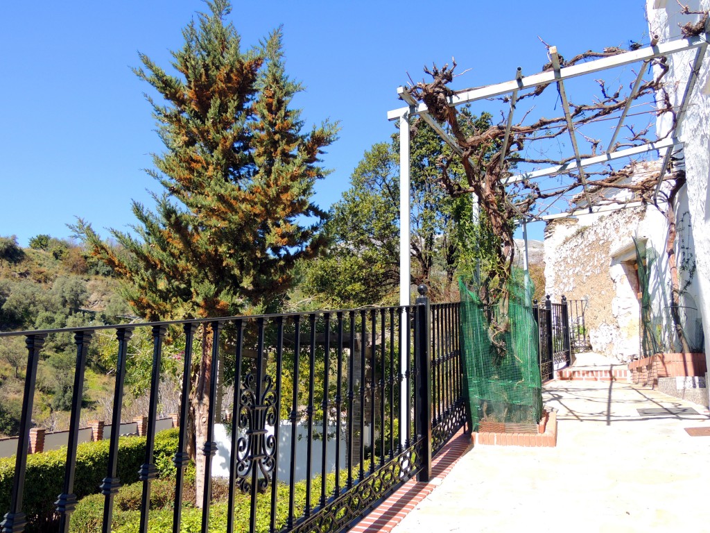 Foto de Salares (Málaga), España