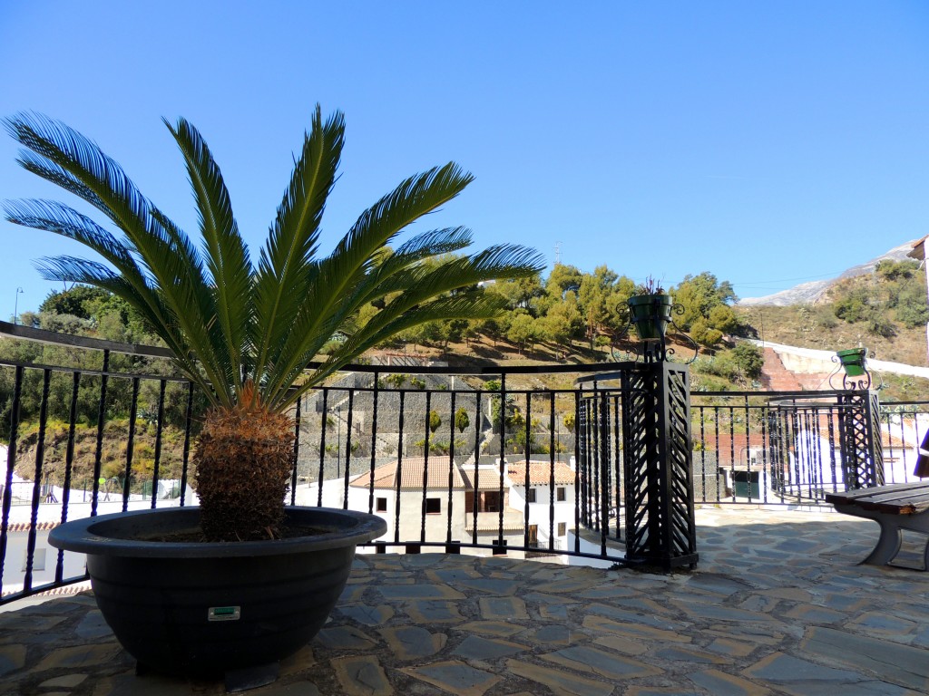 Foto de Salares (Málaga), España