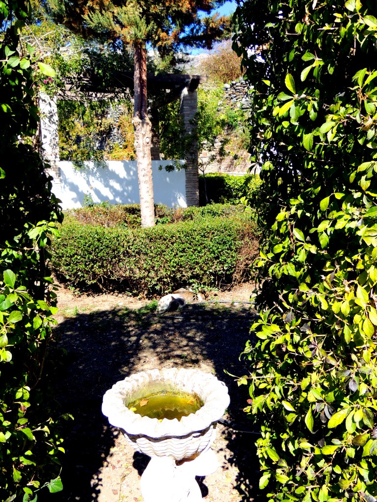 Foto de Salares (Málaga), España