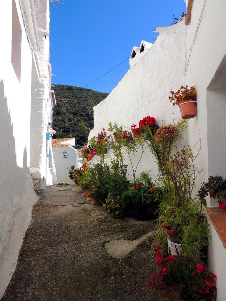 Foto de Salares (Málaga), España