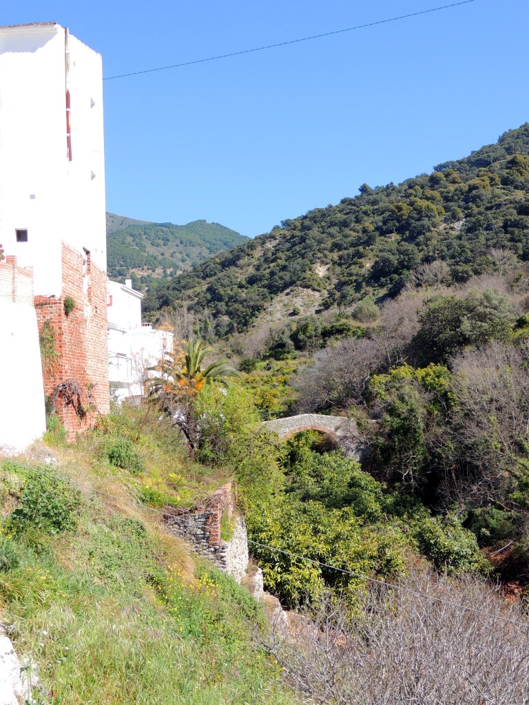 Foto de Salares (Málaga), España