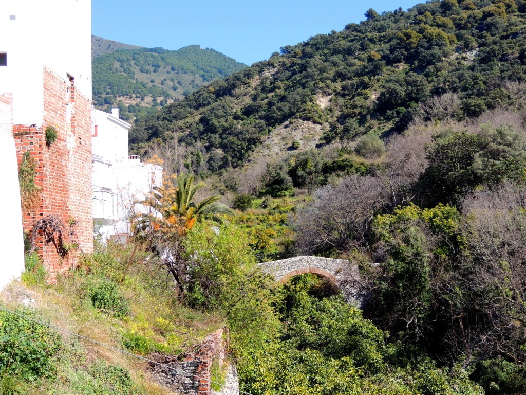 Foto de Salares (Málaga), España