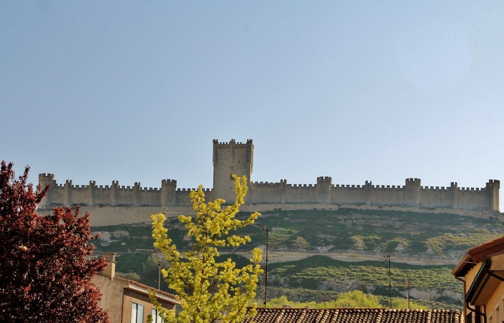 Foto: Castillo - Peñafiel (Valladolid), España