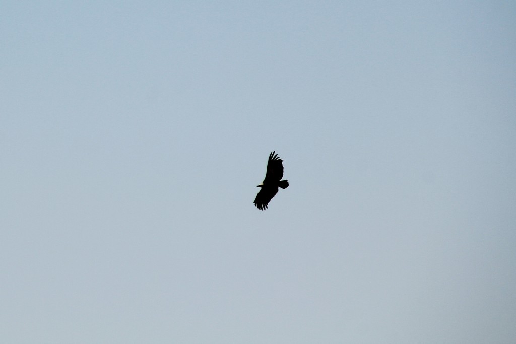 Foto: A vista de pájaro - Haza (Burgos), España