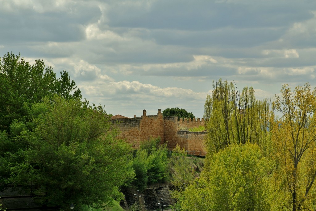 Foto: Castillo - Almazán (Soria), España