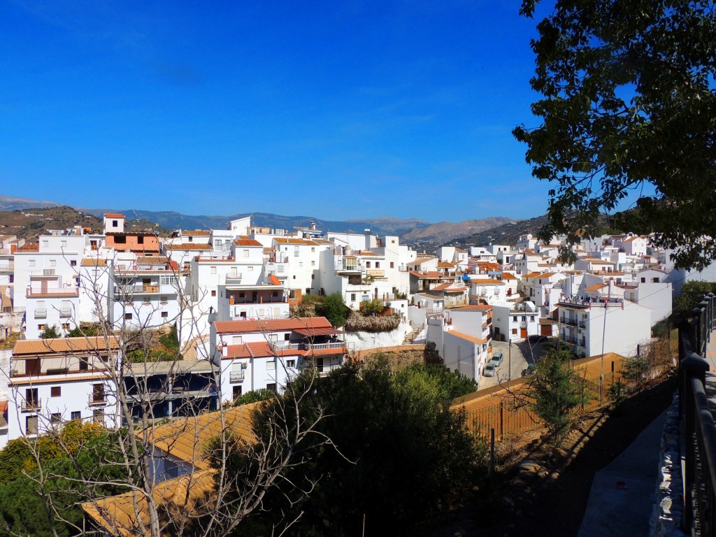 Foto de Sayalonga (Málaga), España