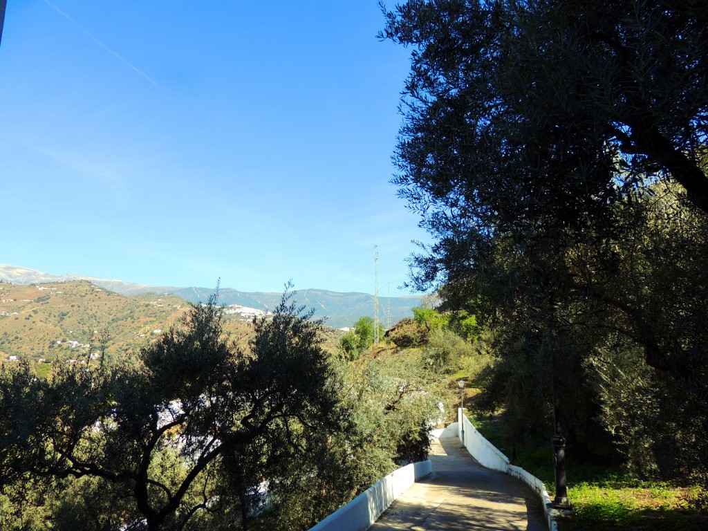 Foto de Sayalonga (Málaga), España