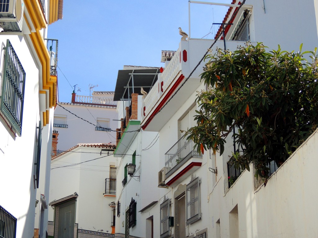 Foto de Sayalonga (Málaga), España