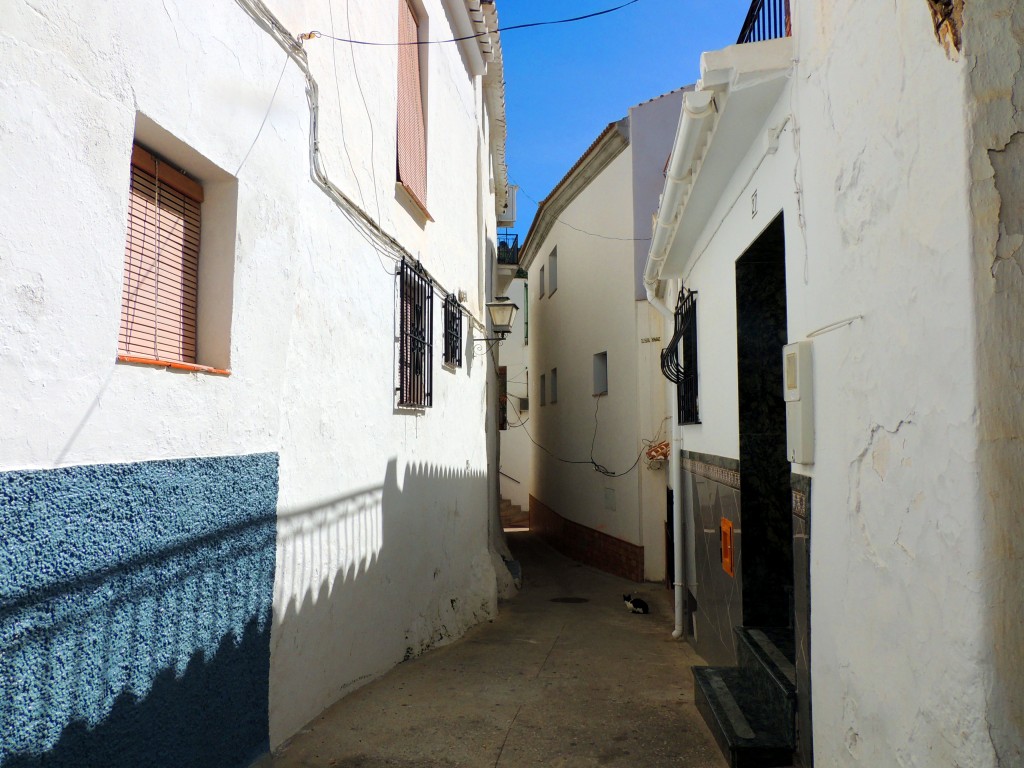 Foto de Sayalonga (Málaga), España