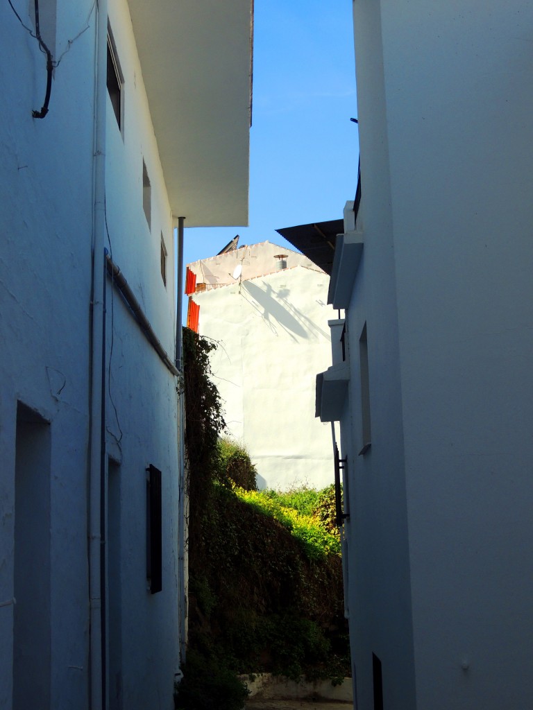 Foto de Sayalonga (Málaga), España