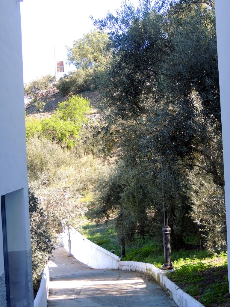 Foto de Sayalonga (Málaga), España